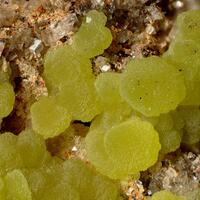 Mimetite