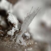 Fluoborite