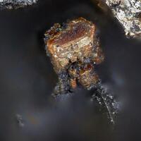 Greenockite