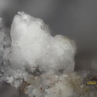 Švenekite
