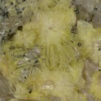 Boltwoodite & Uranophane