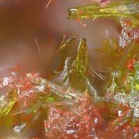 Molybdofornacite