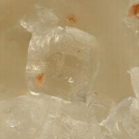 Lüneburgite