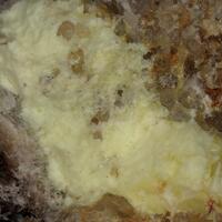 Coconinoite