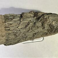 Calcite Var Anthraconite