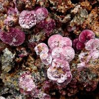 Erythrite & Rösslerite