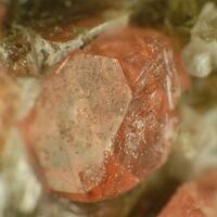 Manganoeudialyte