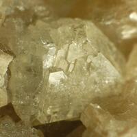 Whitlockite