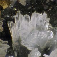 Dachiardite-Na Analcime & Pyrite