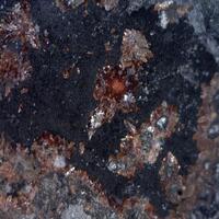 Coralloite