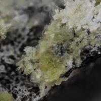 Ganophyllite