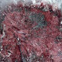 Piemontite
