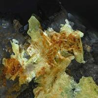 Uranocircite