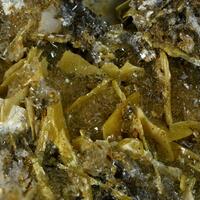 Wulfenite