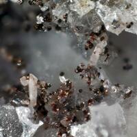 Chernovite-(Y)