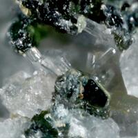 Caysichite-(Y)