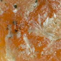Serrabrancaite & Niahite