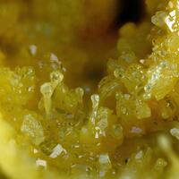 Sulphur