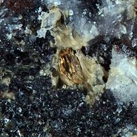 Ligurian Minerals: 09 May - 16 May 2025