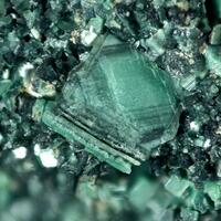 Torbernite