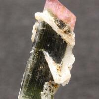 Elbaite