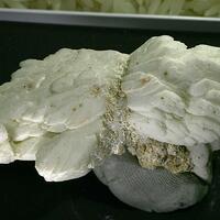 Calcite Psm Gypsum