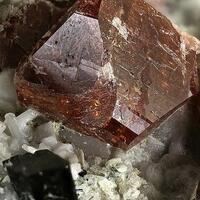 Eudialyte