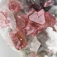 Eudialyte