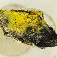 Gminerals: 26 May - 02 Apr 2023