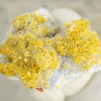 Gminerals: 24 Nov - 01 Dec 2023