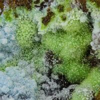 Agardite-(Ce)