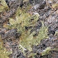 Grimselite