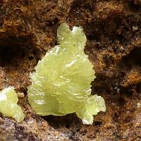 Agricolaite