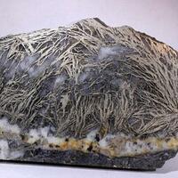 Pyrite Psm Pyrrhotite