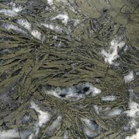 Feather Pyrite