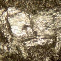 Proto-anthophyllite