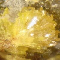 Orpiment