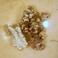 Native Palladium & Potarite