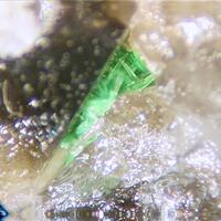 Ulrichite