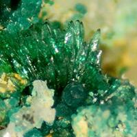 Kipushite