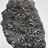 Cohenite