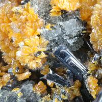 Hutchinsonite & Orpiment