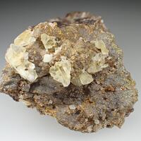 Whewellite