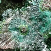 Cobaltoan Adamite & Cuprian Adamite