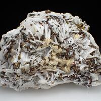 Baryte & Chalcopyrite & Dolomite