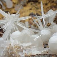 Aragonite & Calcite