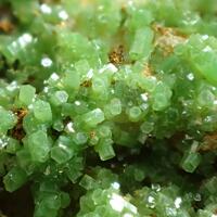 Pyromorphite