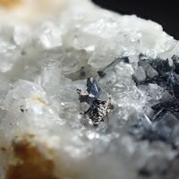 Miargyrite & Stibnite