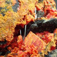 Lorándite Realgar & Stibnite