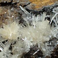 Aragonite